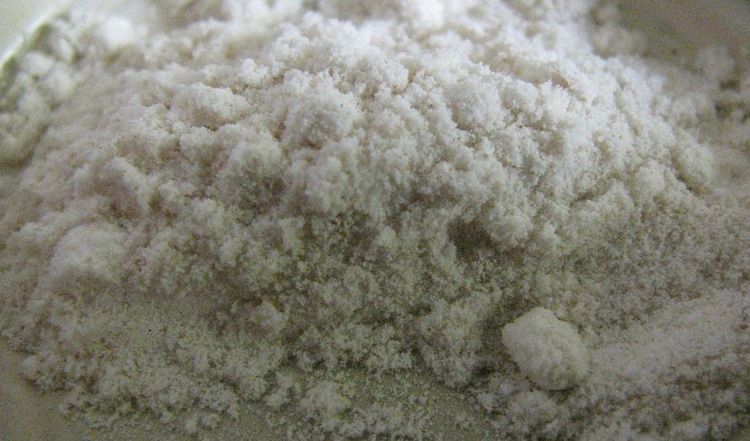 Lactobifadol pour chiens