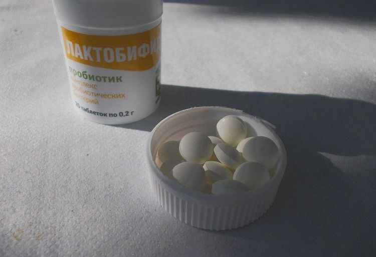 Lactobifide pour chiens