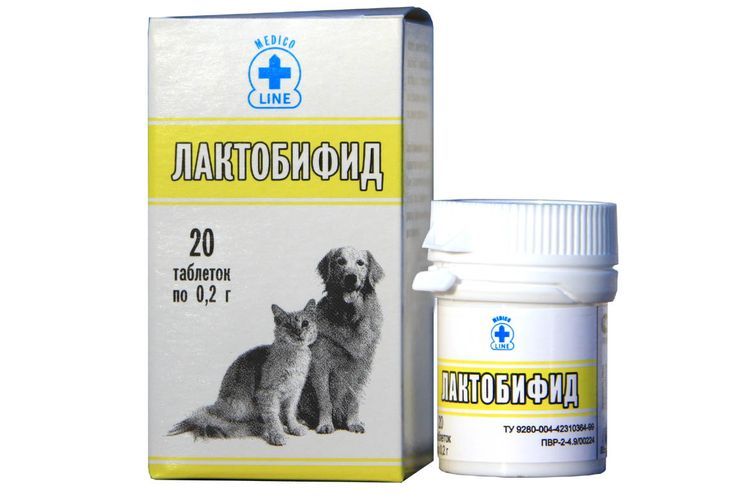 Lactobifide pour chiens