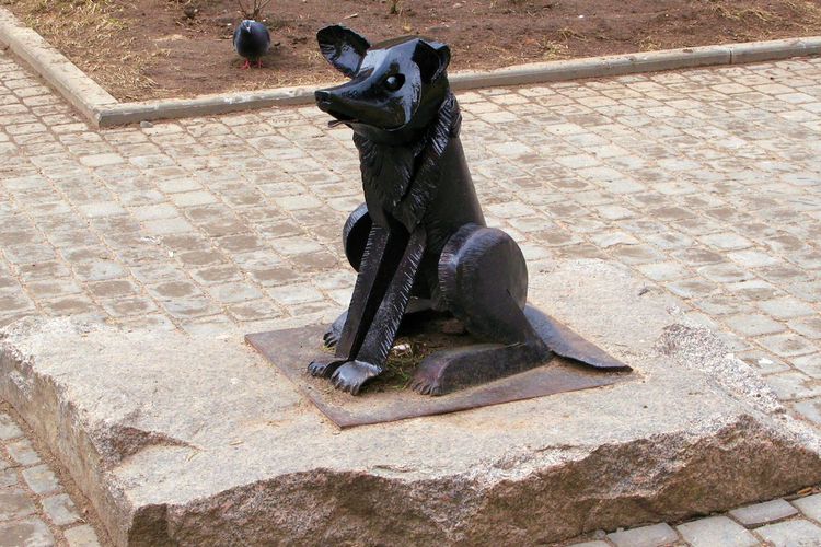 Monument au chien errant Gavryusha (Saint-Pétersbourg)