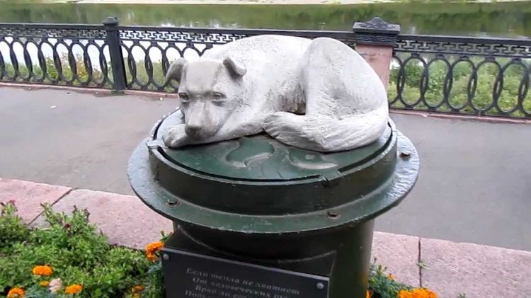 Monument à un chien sans abri (Kemerovo)