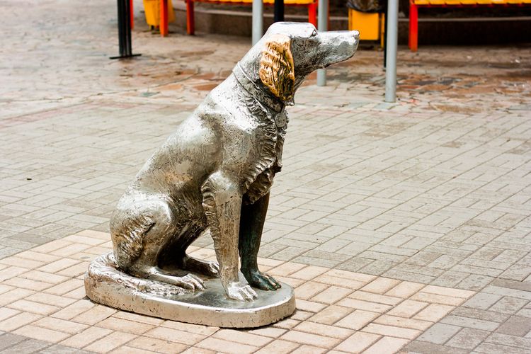 Monument à White Bim (Voronej)