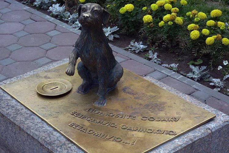 "Aimer un chien" (Tioumen)