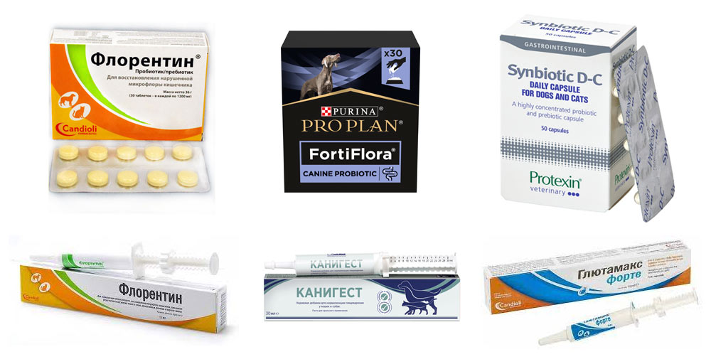 Analogues du médicament « Procolin »