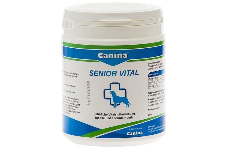 Senior Vital