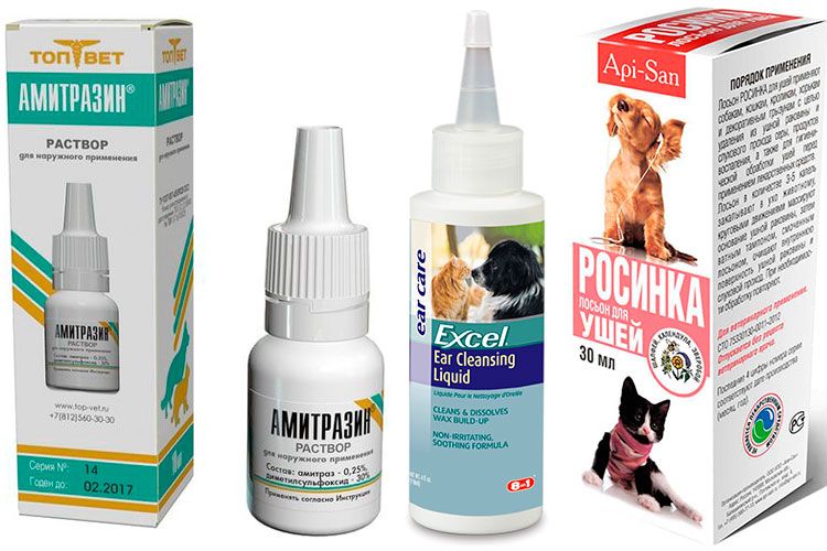 lotions nettoyantes pour les oreilles