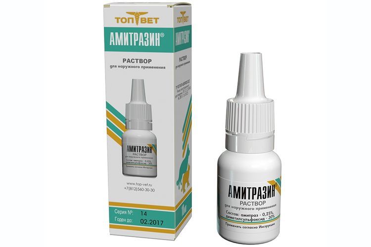 Amitrazine pour chats