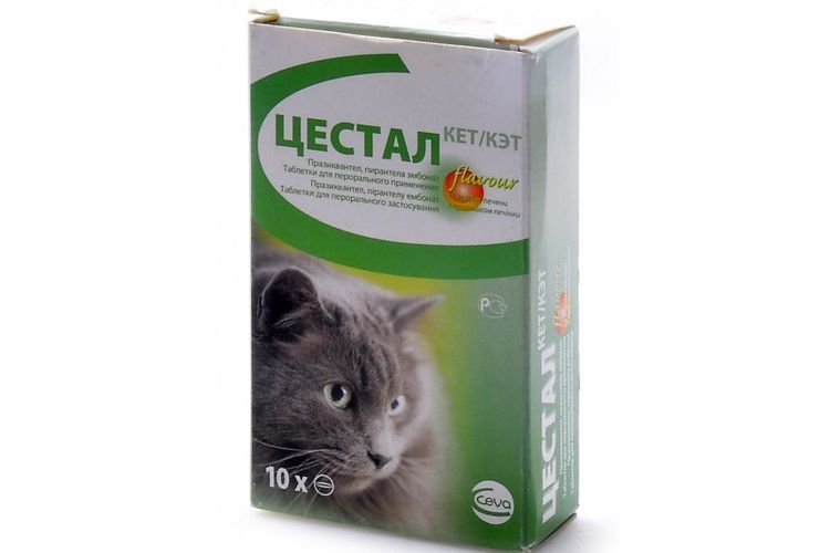 Cestal pour chats
