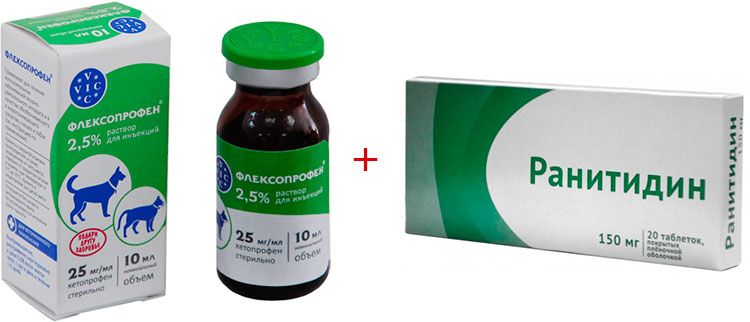 Flexoprofène et ramitidine