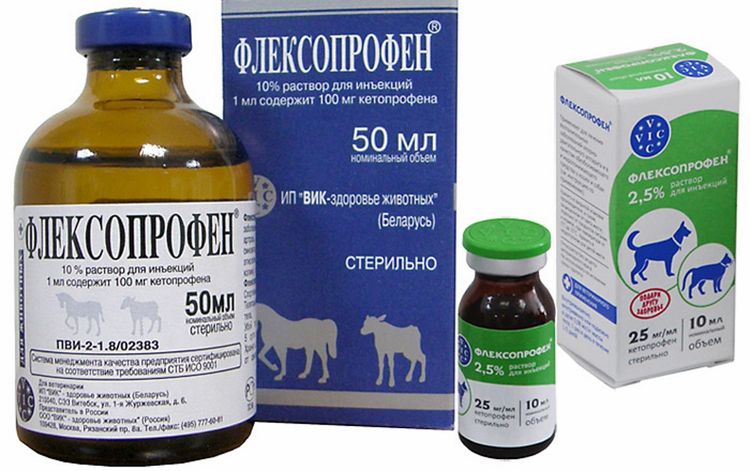 Flexoprofène pour chats