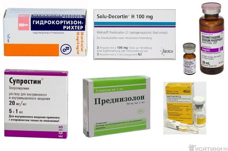 Injections hormonales pour chiens