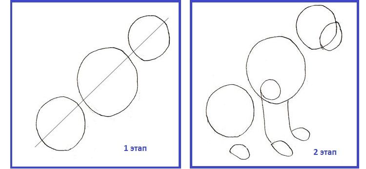 Dessin au trait d'un chien