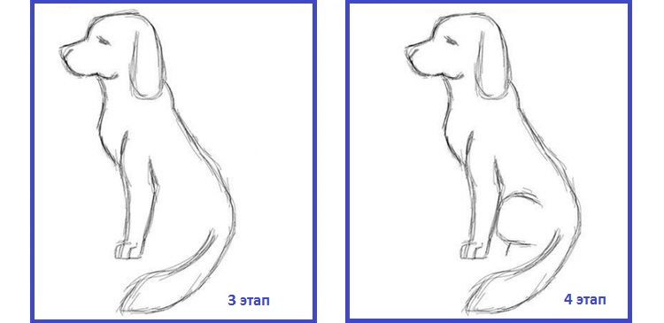 Dessin au trait d'un chien