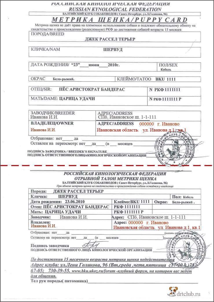 passeport ou certificat de naissance du chiot