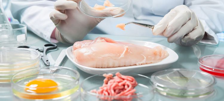 Ingrédients pour l'alimentation animale