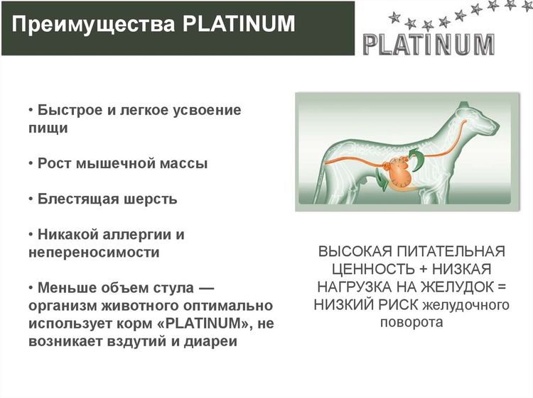 Digestibilité des aliments Platinum