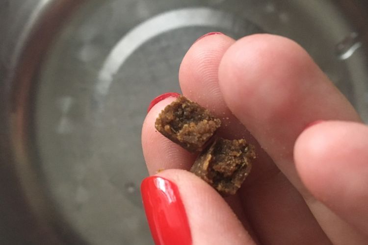 Granulés alimentaires de platine