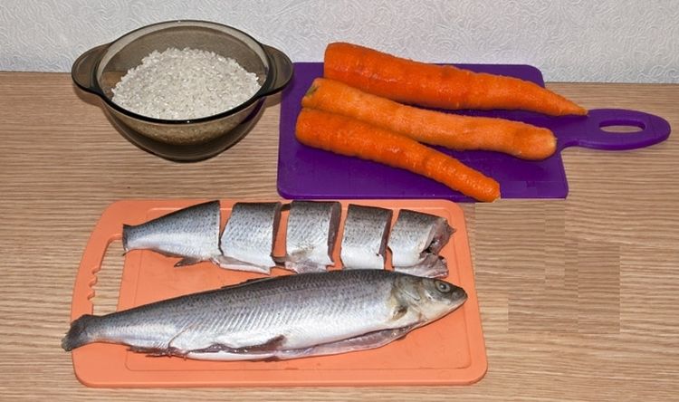 Préparer un plat de poisson pour un chat
