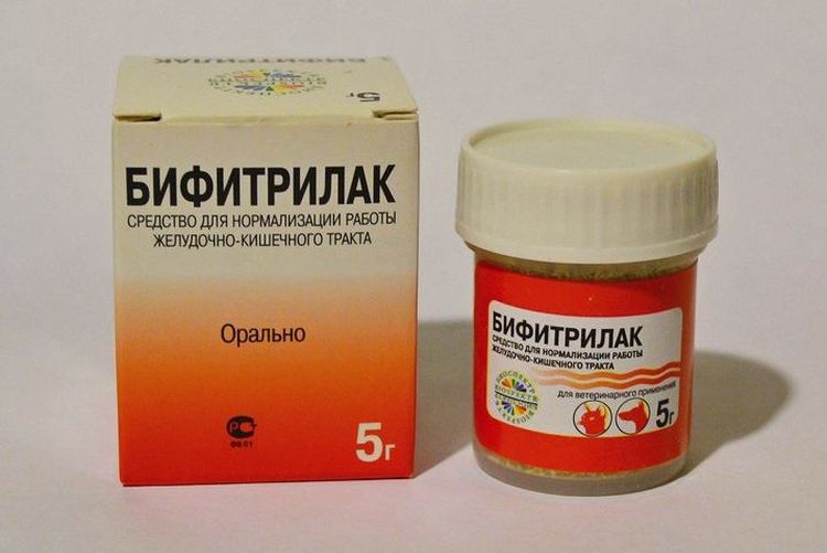 Bifitrilak, un médicament pour chats