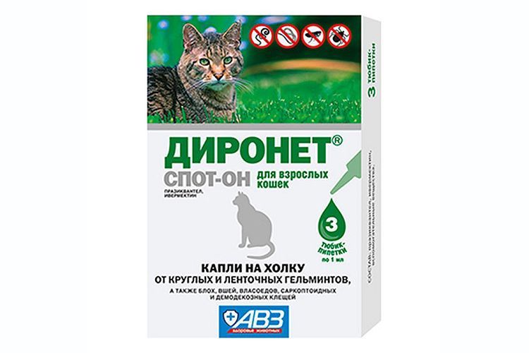 Gouttes Dironet pour chats