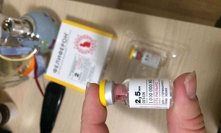 Feliferon pour chats