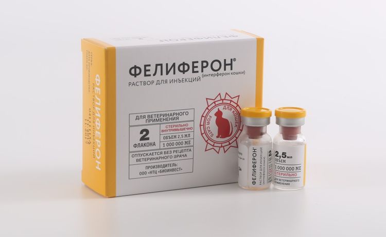Feliferon pour chats