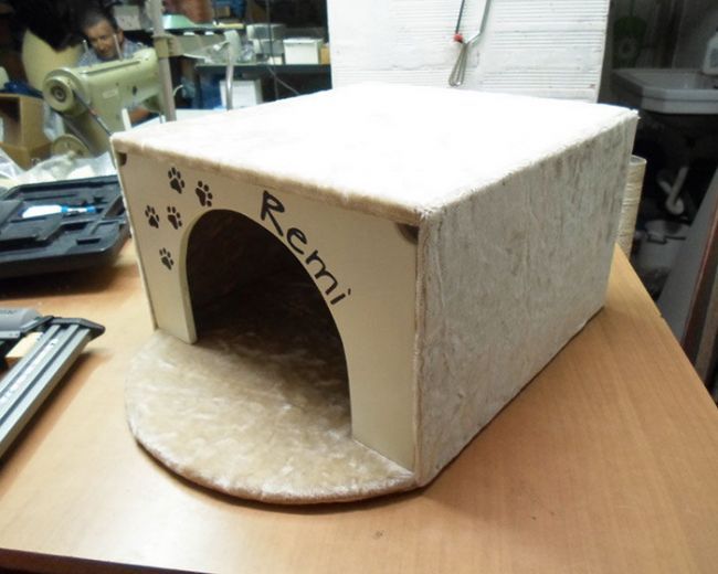 Guide étape par étape pour construire un espace de jeu pour chats