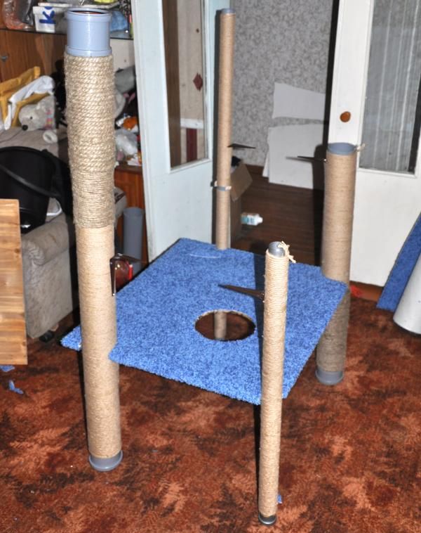 Guide étape par étape pour construire un espace de jeu pour chats