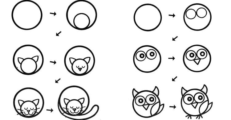 Dessinons des animaux étape par étape