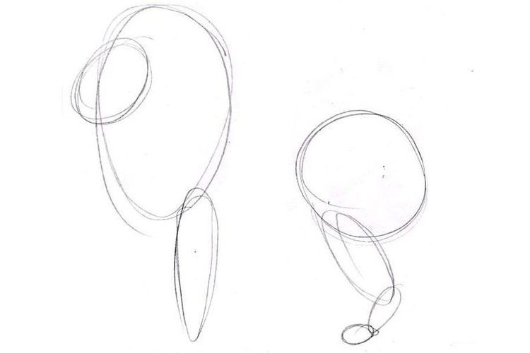 Comment dessiner un lion