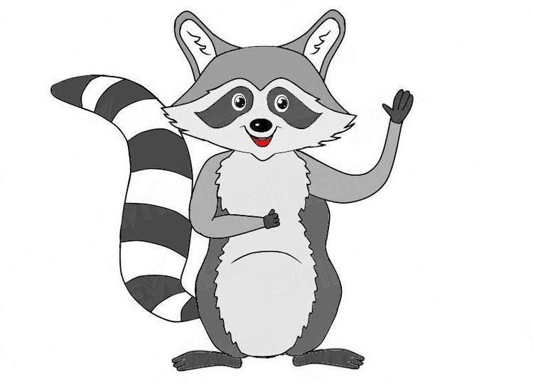 Comment dessiner un raton laveur