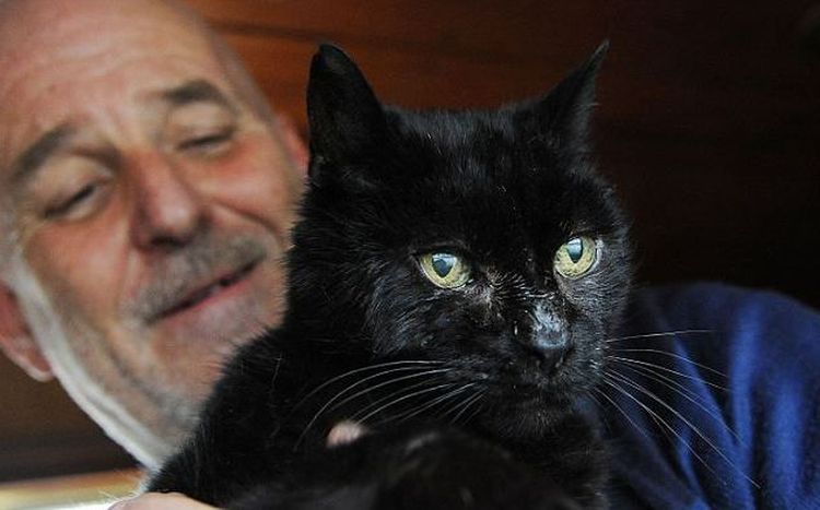 Mac le chat du Royaume-Uni