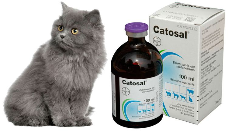 Catozal pour chats