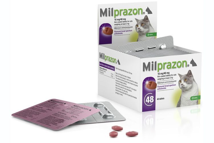 Milprazon pour chats
