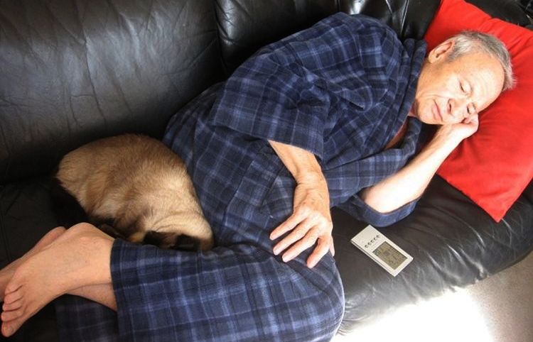 Le chat s'est blotti aux pieds de son maître.