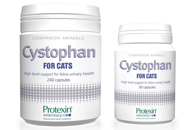 Cystophan pour chats