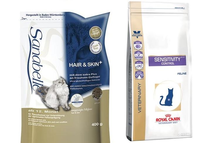 Nourrir un chat atteint de granulome