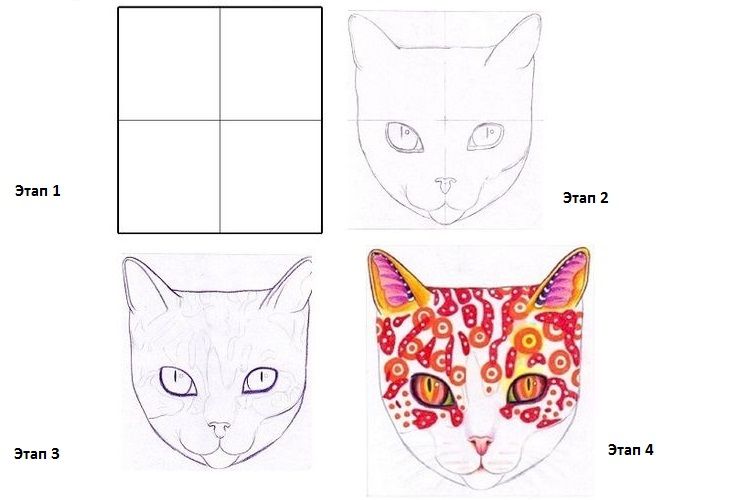 Comment dessiner un visage de chat étape par étape