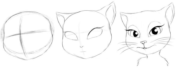 Comment dessiner un visage de chat étape par étape