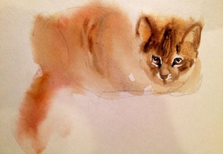 Dessin à l'aquarelle d'un chat