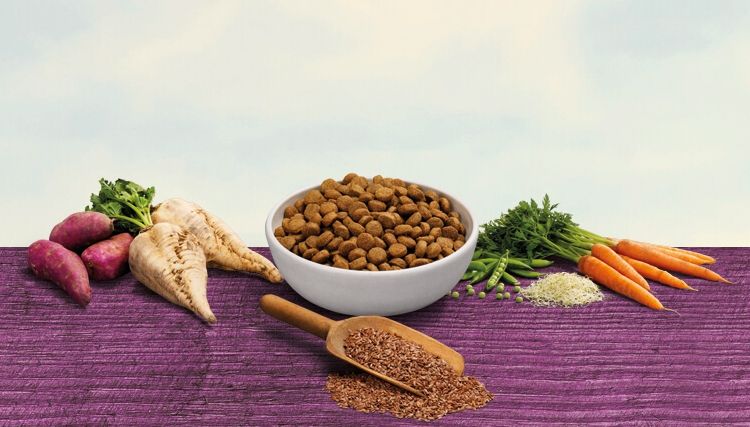 Ingrédients des aliments pour chats Nature's Table