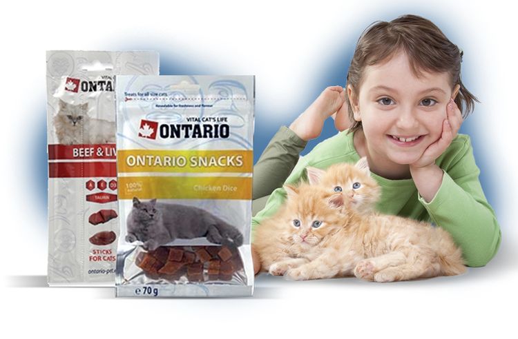 Nourriture pour chats de l'Ontario