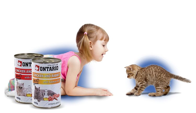 Nourriture pour chats de l'Ontario