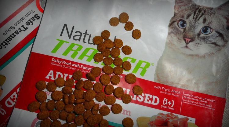 Nourriture pour chats dresseurs