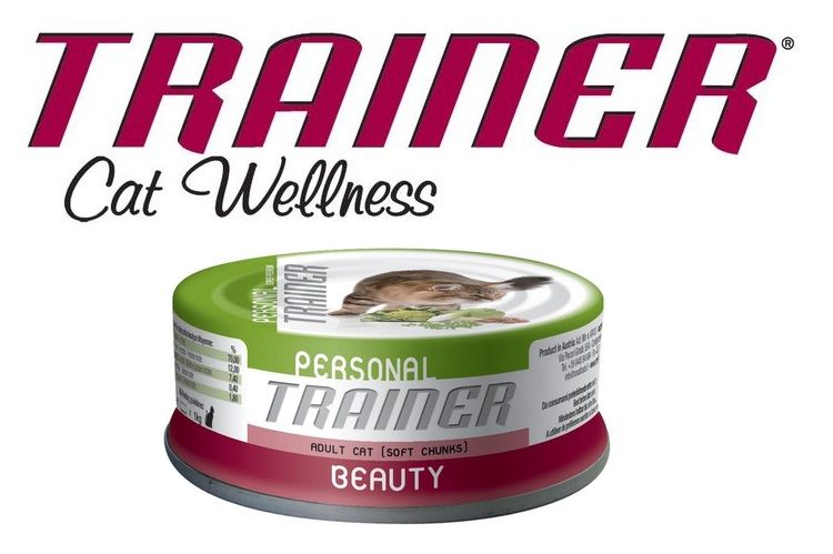 Nourriture pour chats dresseurs