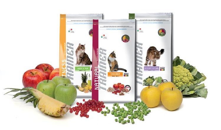 Nourriture pour chats dresseurs