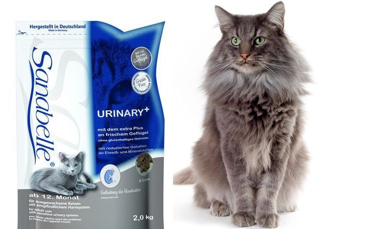 Aliment pour chats Bosch Sanabelle contre la lithiase urinaire