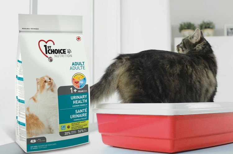 Aliment pour chats de premier choix pour la lithiase urinaire