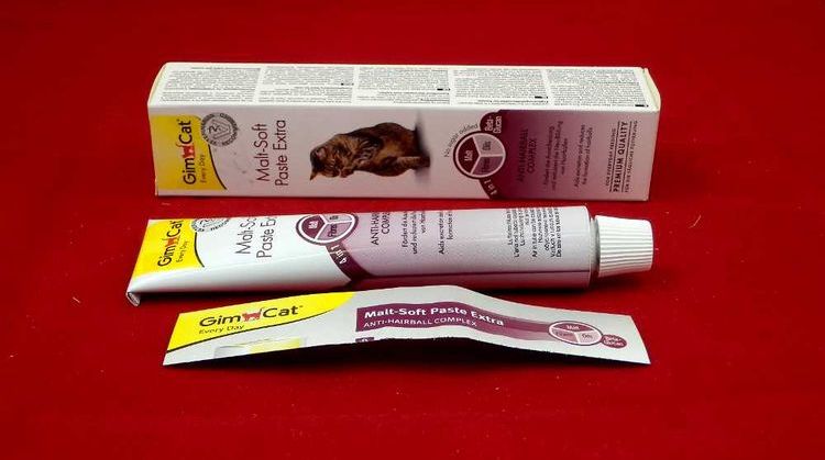 Pâte de malt pour chats