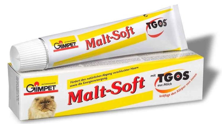 Pâte de malt pour chats